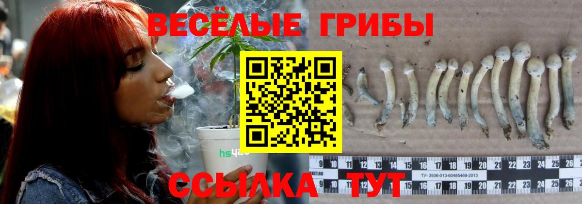 Псилоцибиновые грибы GOLDEN TEACHER  Псилоцибиновые грибы Cubensis  Вход с VPN  Москва 